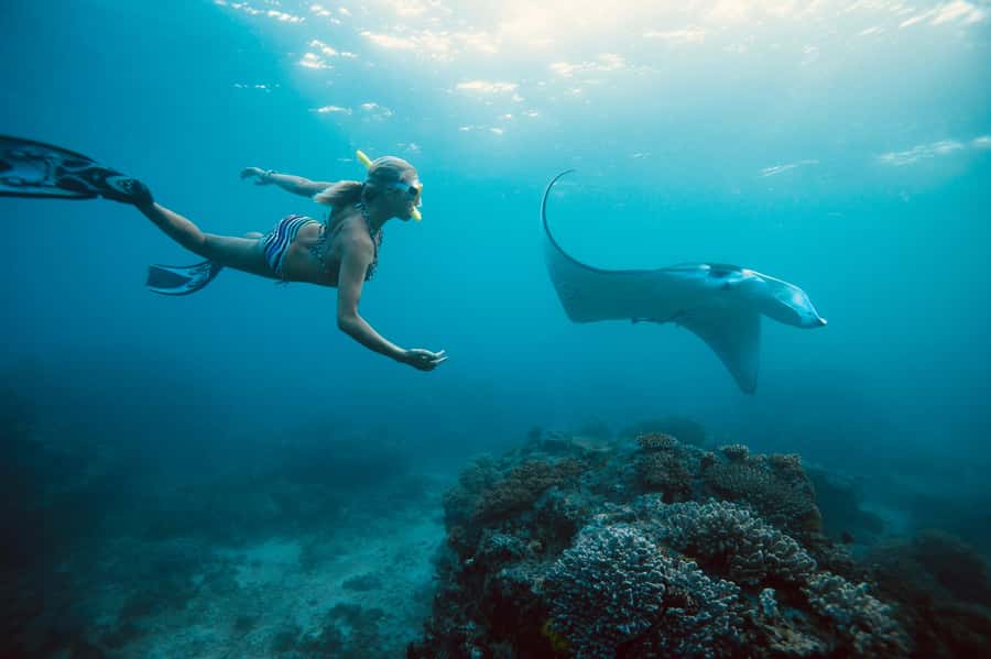Bali/Nusa Penida: Manta Point Snorkel Boat & West Coast Tour - Three bays, three different reasons to get in the water