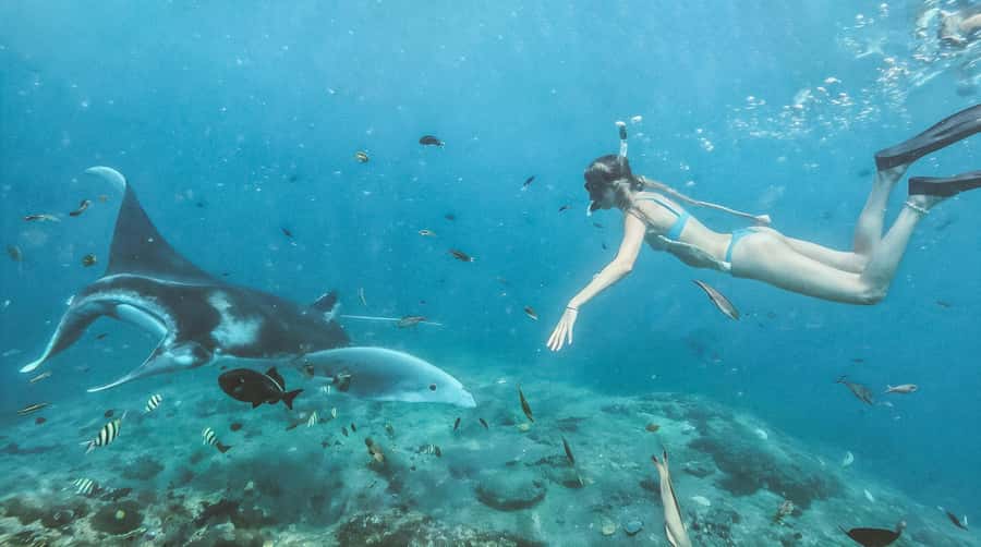 Bali/Nusa Penida: Manta Point Snorkeling & West Coast Tour - Manta Point, where the day earns its keep