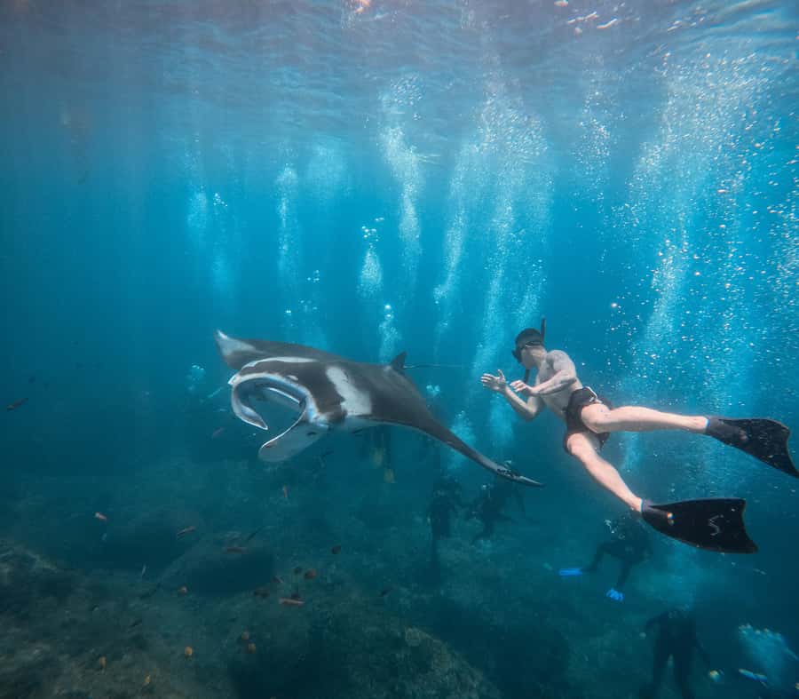 Bali/Nusa Penida: Manta Point Snorkeling & West Coast Tour - Adding the West Coast tour after snorkeling