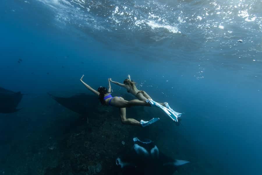 Bali: Nusa Penida Speedboat Trip with Snorkeling and Tour - Key points to know before booking