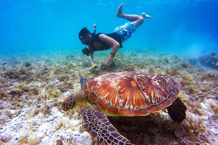 Bali: Nusa Penida Speedboat Trip with Snorkeling and Tour - Why the manta encounter is the main event