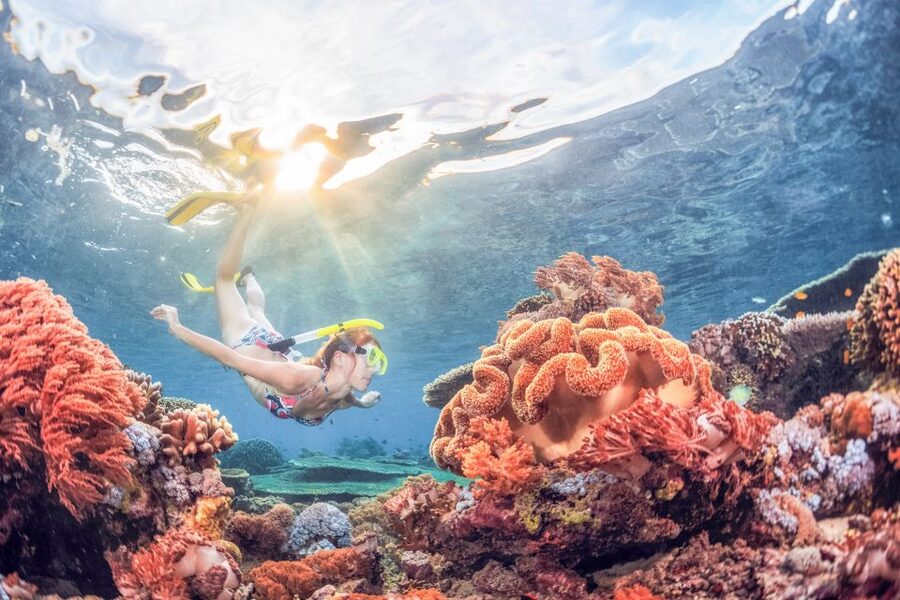 Bali: Padangbai Blue Lagoon Snorkeling Day Trip - Is $75 a fair price?