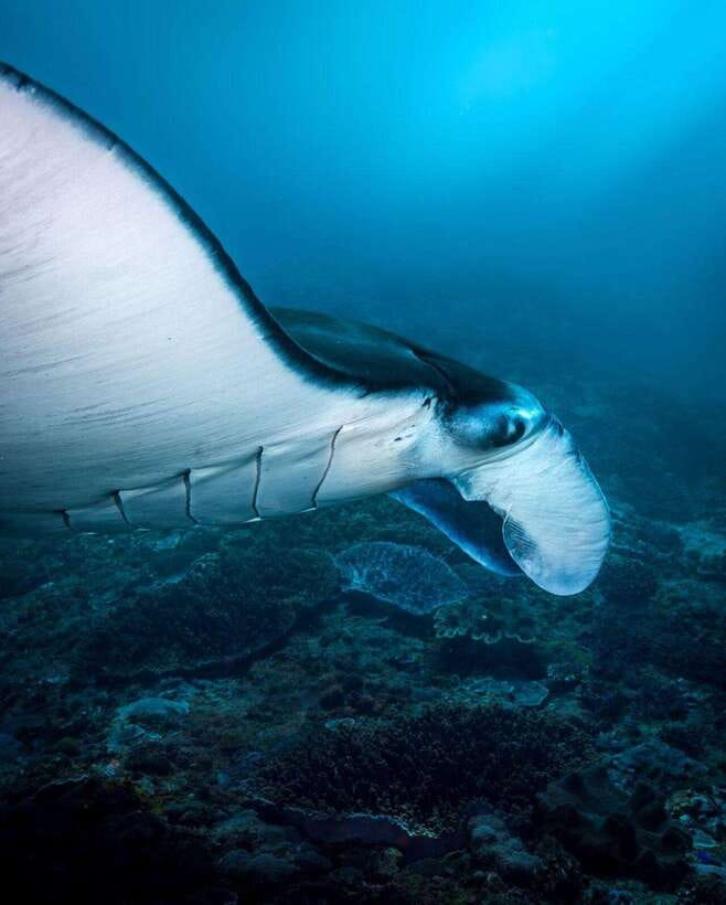 Bali: Private Snorkeling at Manta Point Nusa Penida - Sea Conditions, Safety, and What to Pack