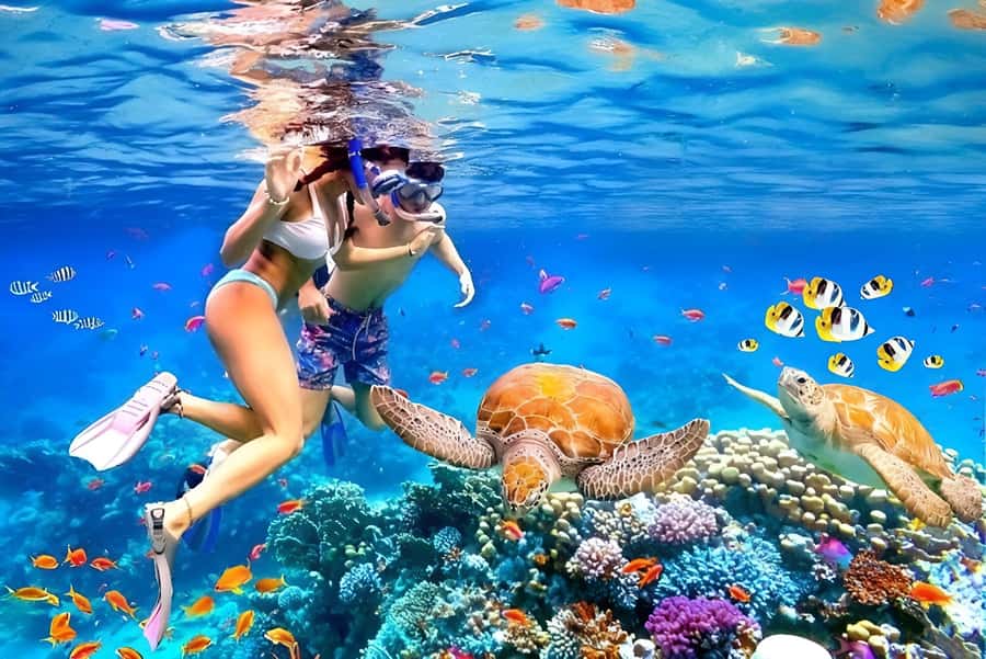 Bali: Snorkeling Blue Lagoon 2 Spot & Lunch optional Village - Key points at a glance
