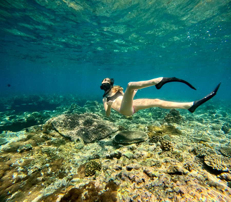 Bali: Snorkeling Blue Lagoon 2 Spot & Lunch optional Village - Two reef stops near Padang Bai