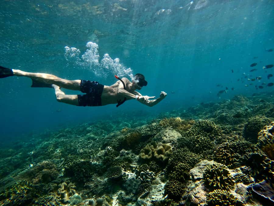 Bali: Snorkeling Blue Lagoon 2 Spot & Lunch optional Village - Starting at Topi Inn in Padang Bai