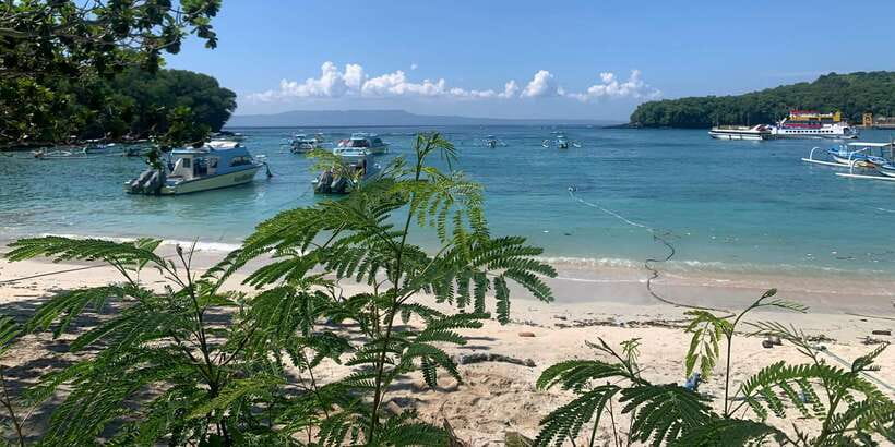 Bali: Snorkeling on 2 spots with Lunch and Transport - Two Bali snorkeling spots in one easy outing