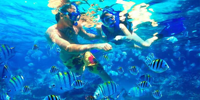 Bali: Snorkeling on 2 spots with Lunch and Transport - What the boat ride and guide service are like