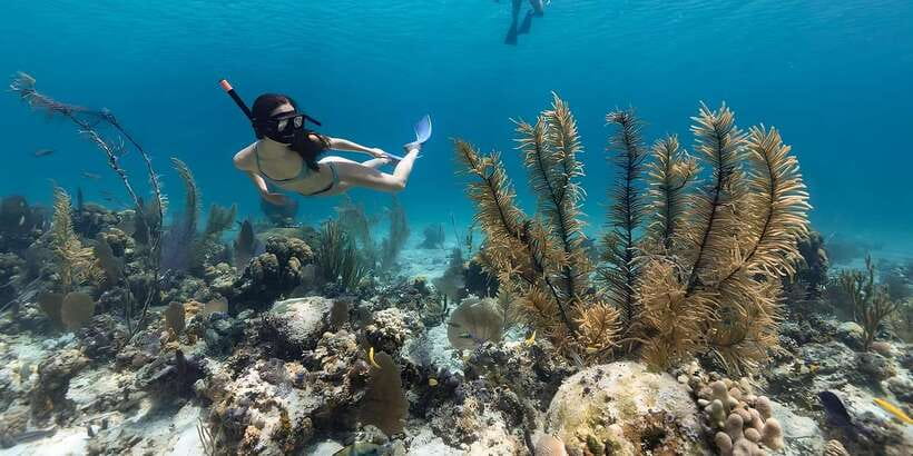 Bali: Snorkeling on 2 spots with Lunch and Transport - Lunch at Blue Lagoon Beach