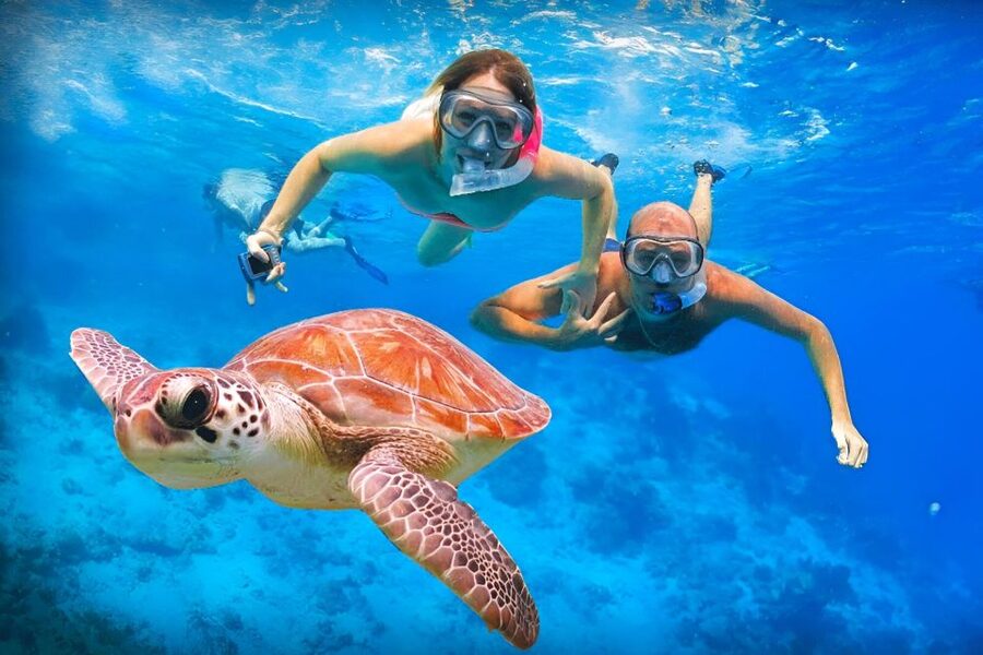 Bali: Snorkeling on 2 spots with Lunch and Transport - How the private transport changes the value
