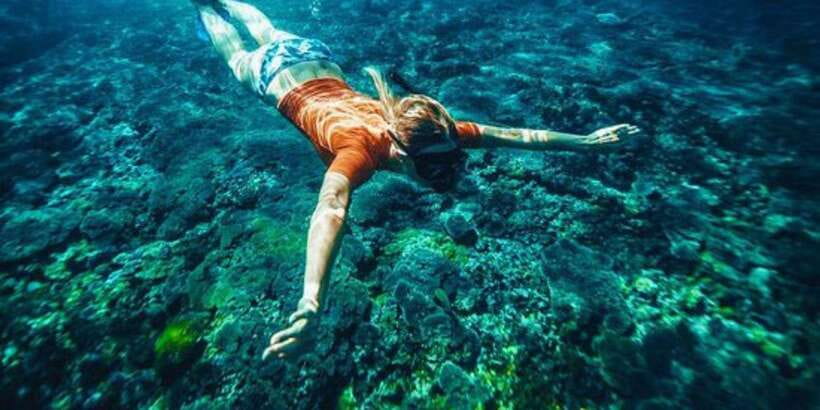 Bali: Snorkeling on 2 spots with Lunch and Transport - Who will get the most from this trip