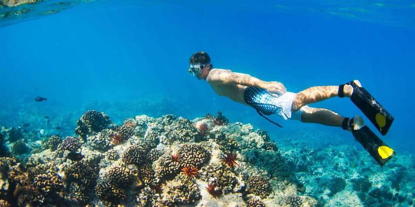 Bali: Snorkeling on 2 spots with Lunch and Transport - Practical ways to make the day better