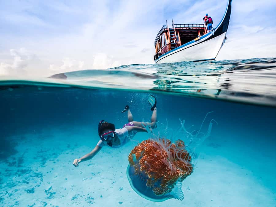Bali: Ubud ATV and Blue Lagoon Snorkeling Tour with Lunch - Key points to know before booking
