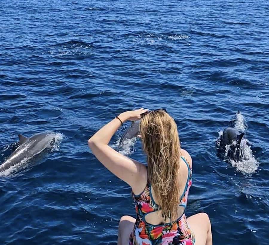 Bali: Watching Dolphin, Swimming & Snorkeling Tour - What swimming with the dolphins really involves