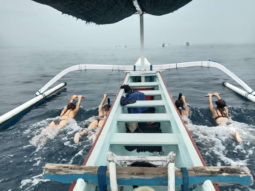 Bali: Watching Dolphin, Swimming & Snorkeling Tour - Snorkeling around Lovina’s coral reef