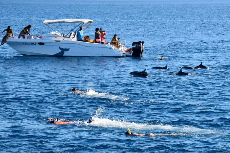 Bali: Watching Dolphin, Swimming & Snorkeling Tour - The ride back to Lovina and your next stop