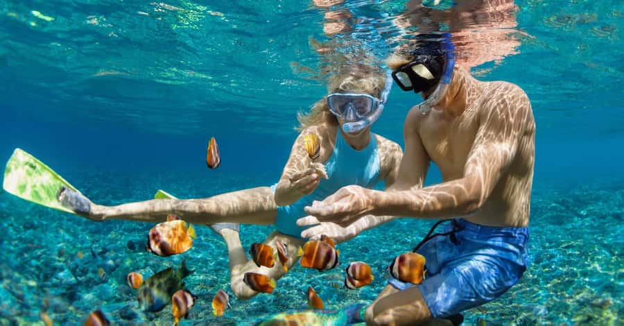 Bali: Watching Dolphin, Swimming & Snorkeling Tour - The dolphin ethics and crowd question