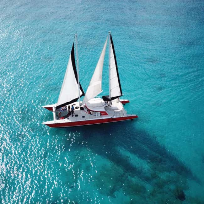 Barbados: Catamaran Tour with Snorkeling and Lunch - Wrecks, fish, and the best snorkeling of the day