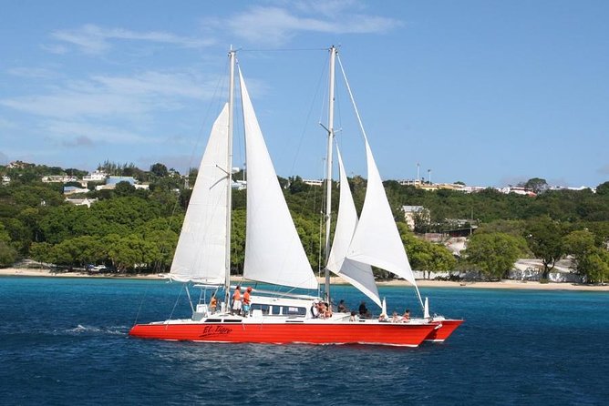 Barbados Catamaran Turtle and Shipwreck Snorkeling Cruise - The Shipwreck Stop and Its Fish