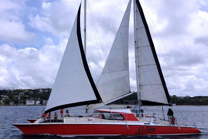 Barbados Catamaran Turtle and Shipwreck Snorkeling Cruise - What Changes on the Three-Hour Cruise