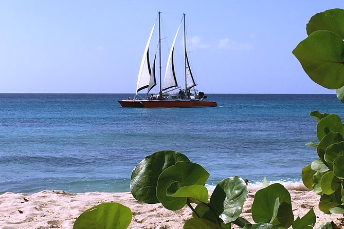 Barbados Catamaran Turtle and Shipwreck Snorkeling Cruise - Drinks, Food, Music, and the Onboard Mood