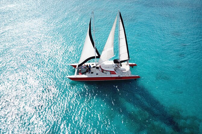 Barbados Catamaran Turtle and Shipwreck Snorkeling Cruise - The First 45 Minutes: Searching for Sea Turtles