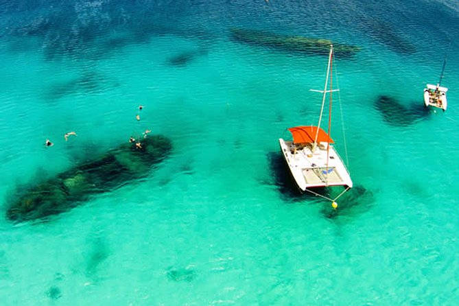 Barbados Catamaran Turtle Snorkel with Lunch and Open Bar - Key points to know before booking