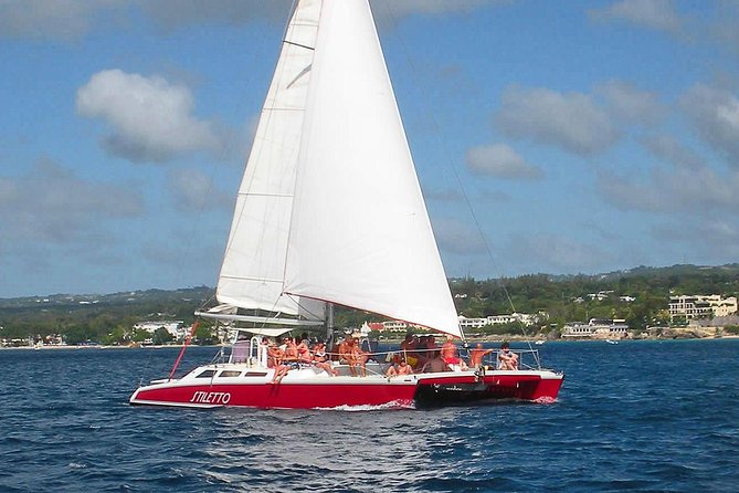 Barbados Catamaran Turtle Snorkel with Lunch and Open Bar - Help for beginners and weak swimmers
