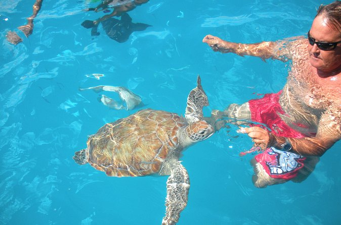 Barbados Catamaran Turtle Snorkel with Lunch and Open Bar - Sailing the west coast with a drink in hand