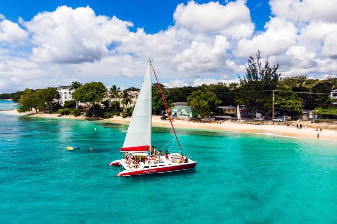 Barbados Catamaran Turtle Snorkel with Lunch and Open Bar - Pickup, timing, and what to bring