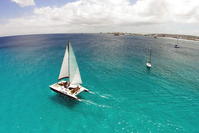 Barbados Catamaran Turtle Snorkel with Lunch and Open Bar - Who will enjoy this cruise most