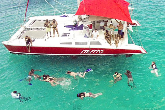 Barbados Catamaran Turtle Snorkel with Lunch and Open Bar - Carlisle Bay and the search for turtles