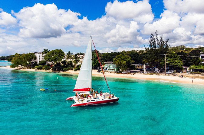 Barbados Catamaran Turtle Snorkel with Open Bar - Who should book this Barbados catamaran cruise