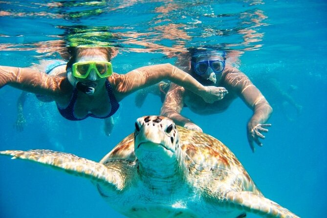Barbados Glass Bottom Boat Cruise and Snorkeling - Why Carlisle Bay makes this a smart short trip
