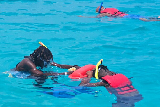 Barbados Glass Bottom Boat Cruise and Snorkeling - Swimming with turtles in their natural setting