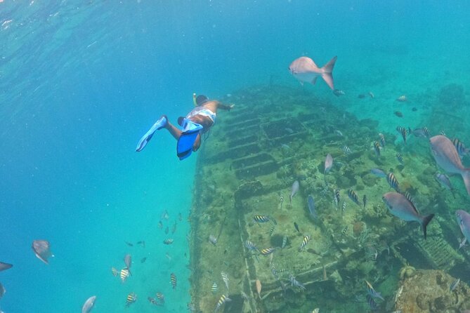 Barbados Glass Bottom Boat Cruise and Snorkeling - Finding The Famous Bird Bar on Highway 7