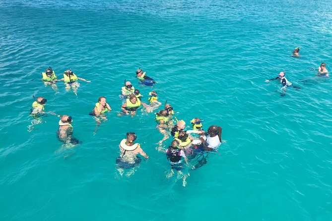 Barbados Turtle and Shipwreck Snorkel Adventure - Key points to know before booking
