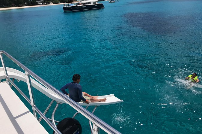 Barbados Turtle and Shipwreck Snorkel Adventure - Meeting turtles in the water