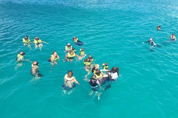 Barbados Turtle and Shipwreck Snorkel Adventure - How much value do you get for $36?