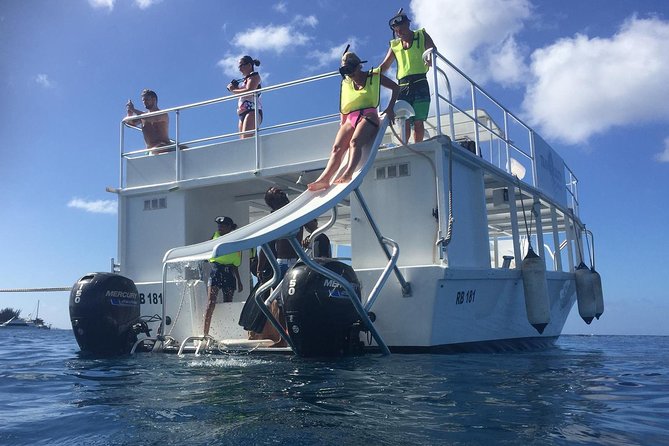 Barbados Turtle and Shipwreck Snorkel Adventure - From Bridgetown’s Careenage to the bay
