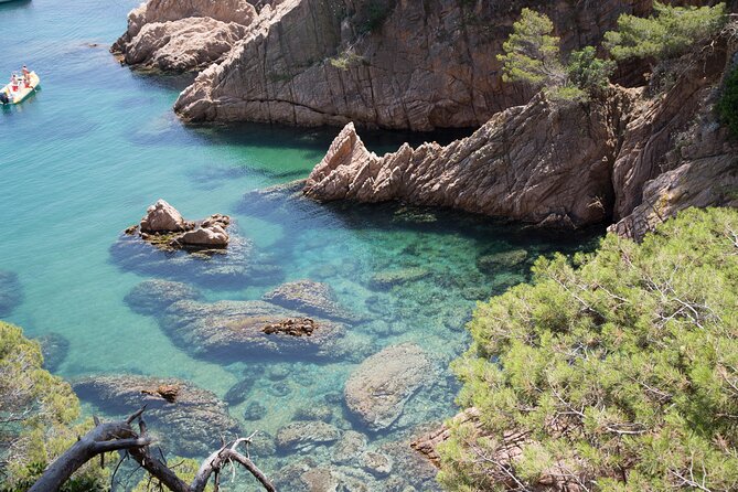 Barcelona: Costa Brava Easy Hike, Snorkel, Cliff-Jump & Meal - Starting at a quiet sandy cove