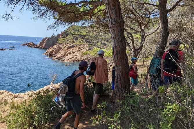 Barcelona: Costa Brava Easy Hike, Snorkel, Cliff-Jump & Meal - Sant Pol, Sa Conca, and the changing shoreline