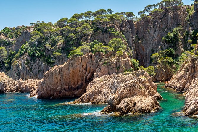 Barcelona: Costa Brava Easy Hike, Snorkel, Cliff-Jump & Meal - Snorkeling in clear Mediterranean water