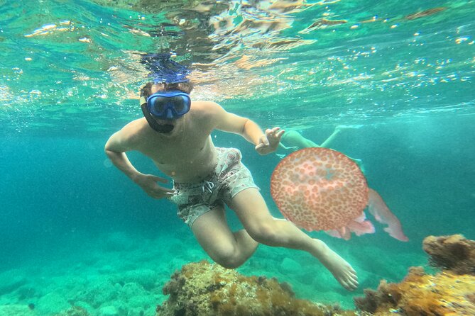Barcelona Wild Experience: Kayak and Snorkel in Costa Brava - Snorkeling, swimming, and optional cliff jumping