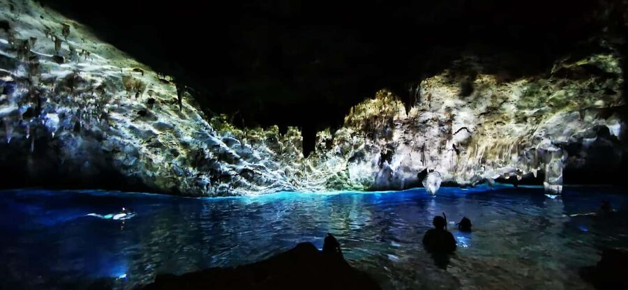 Bayahibe: National Park Jungle Walk & Snorkeling in Cenotes - Key points to know before booking