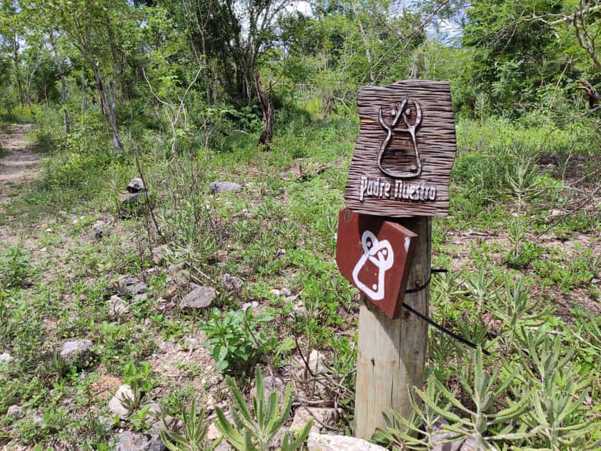 Bayahibe: National Park Jungle Walk & Snorkeling in Cenotes - A careful descent into Cenotes Chicho