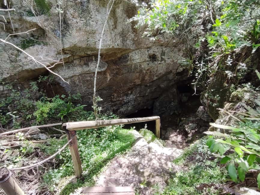 Bayahibe: National Park Jungle Walk & Snorkeling in Cenotes - The final drink and the overall pace