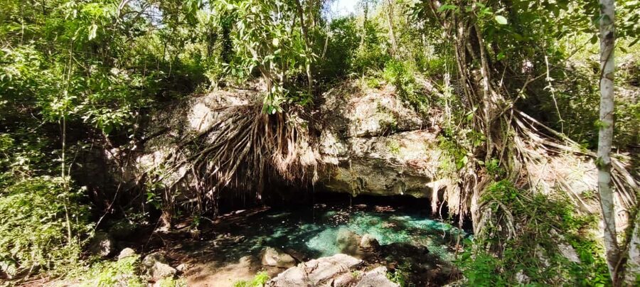 Bayahibe: National Park Jungle Walk & Snorkeling in Cenotes - Who should book this experience