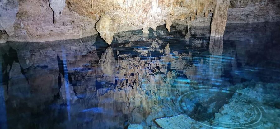 Bayahibe: National Park Jungle Walk & Snorkeling in Cenotes - The Cotubanama National Park walk