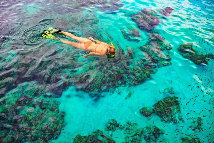 Bayahibe: Snorkeling Tour - Sea, Cotubanama park & Cenotes - Swimming in Cenotes Chicho